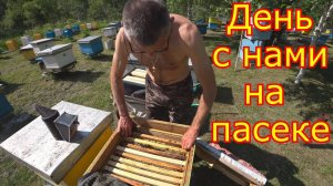 Целый день с нами на пасеке 24 06 2020. НАЧАЛО ВЗЯТКА