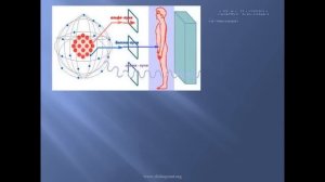 Влияние радиоактивного излучения на живые организмы