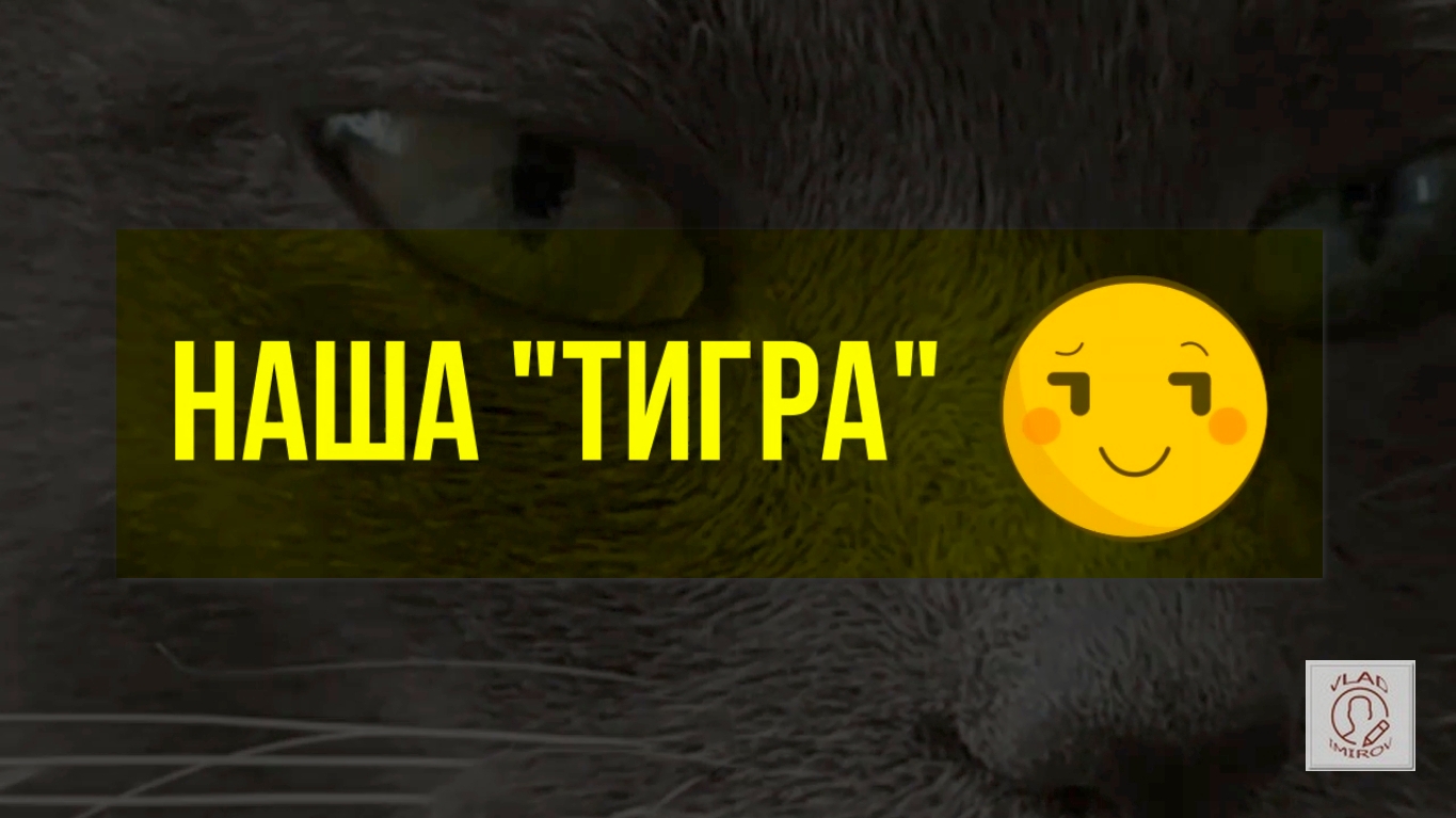 Наша Тигра [Our Tigra] :)))