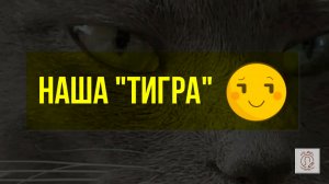 Наша Тигра [Our Tigra] :)))