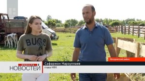 Экологически чистое молоко от коров симментальской породы получает фермер из Тамбовской области