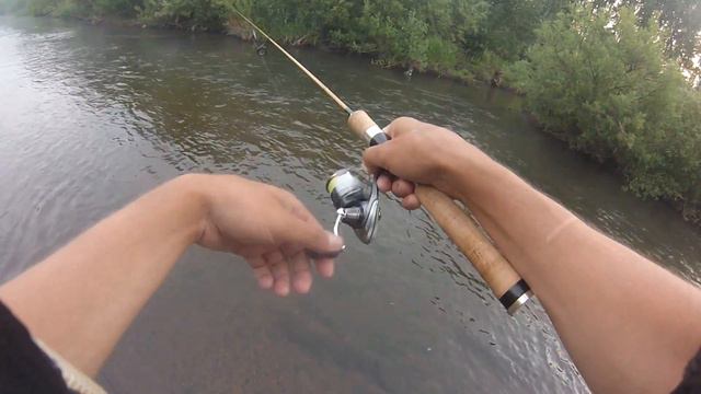 COIЛ. Part 14. Голавли реки Чусовая. Часть 1 смотреть онлайн