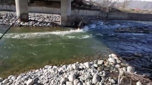 РЫБОЛОВНЫЙ ТУР  В КЫРГЫЗСТАНЕ. ЛОВИМ ФОРЕЛЬ В ГОРНЫХ РЕКАХ.