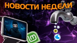 Музыка от ИИ | Обновления Лиункс | VK solutions | Ваш котик в игре и другое