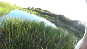 Рыбалка со спиннингом на Мокше, поймал щуку 2 кг.