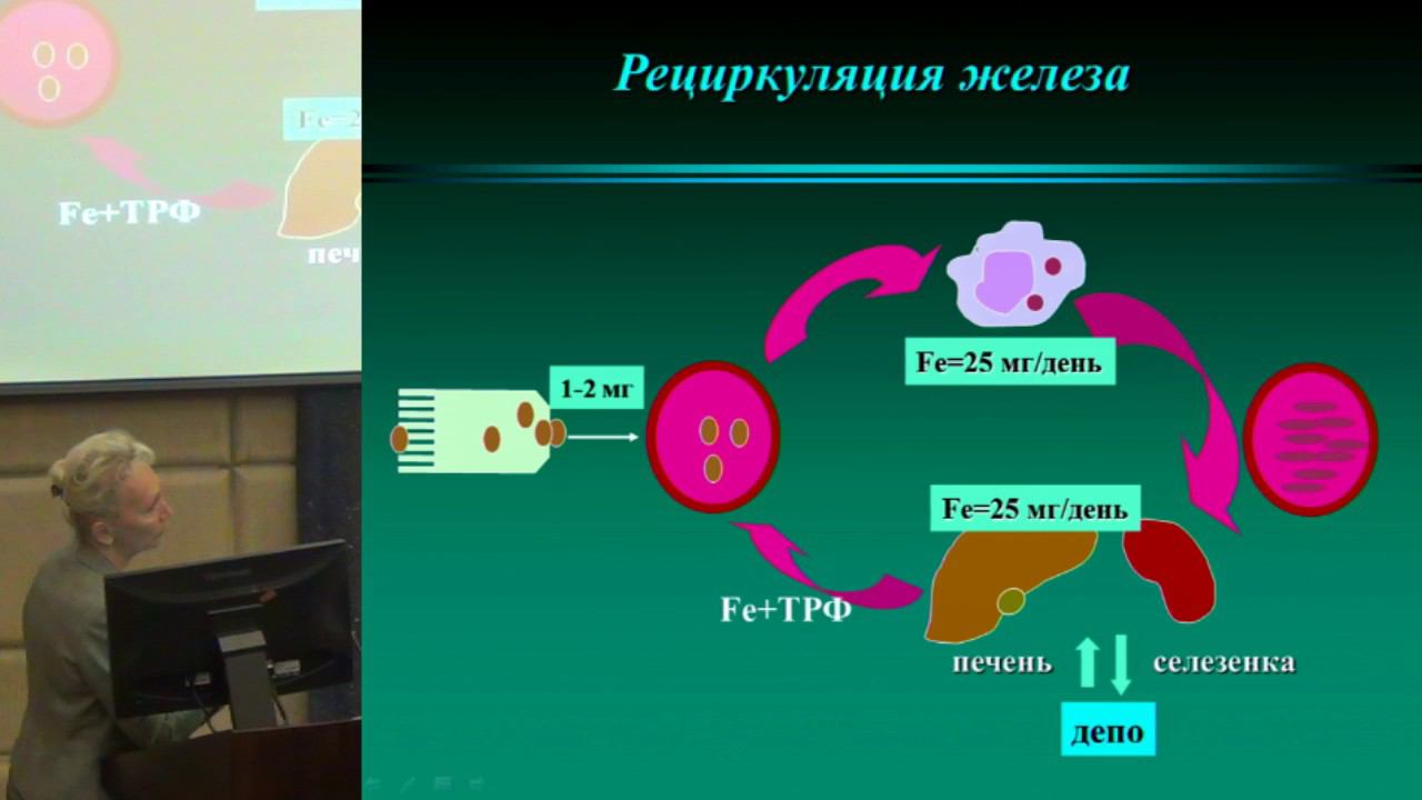 Современная гематология. Проблемы и решения. (часть 29)