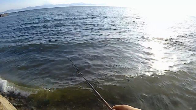 Навага и Maximus Egoist :) смотреть онлайн