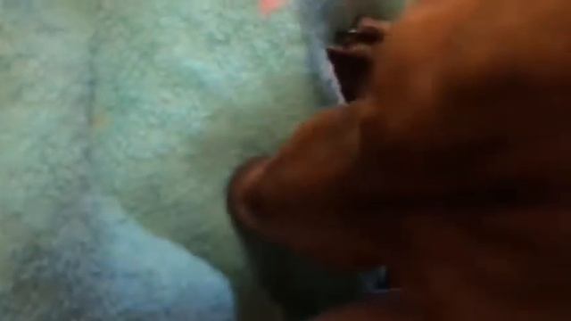 Записываю себя в документы собаке смотреть онлайн