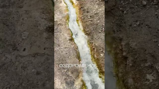 БЕССТЫЖИЕ ВАННЫ. ПЯТИГОРСК.#путешествие #пятигорск #оздоровление #ванны #кмв #отдых смотреть онлайн