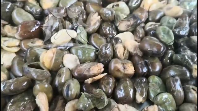 Automatic Potato Crisps Vacuum Fryer смотреть онлайн