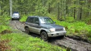 Два пинина в грязи( pinin in the mud)
