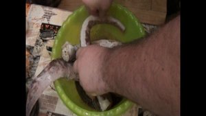 Креветочная рыба