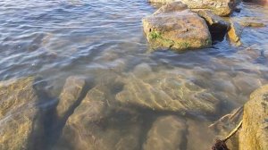 Джубга камни левее центрального пляжа.mp4