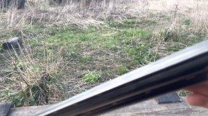 Покупка б/у ружья что нужно знать перед выбором