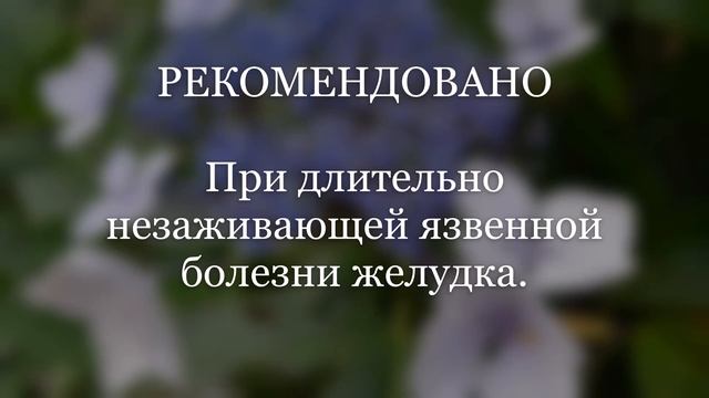 Сбор № 164. При длительно незаживающей язвенной болезни желудка.