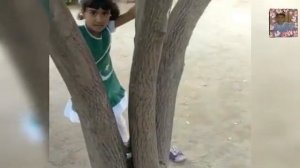 Wow! irha drakht py char gye usk bd dykhy kia hwa?#climbing #jump #tree #video