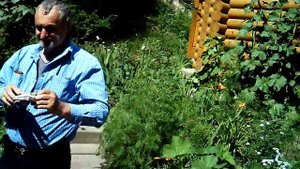 Святой источник матушки Александры Дивеево