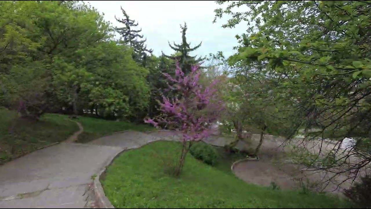Севастополь 03