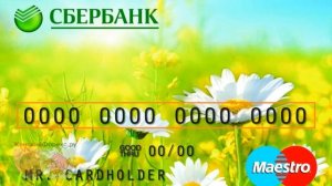 Как узнать номер карты Сбербанка. Полезные советы