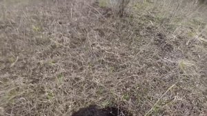 СЕЗОН НАЧАЛСЯ!!!!КОП МОНЕТ С VANQUISH 440!!!