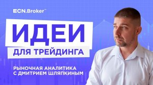 ИДЕИ ДЛЯ ТРЕЙДИНГА. Ежедневная аналитика рынка с Дмитрием Шляпкиным в ECN.Broker, 17 октября
