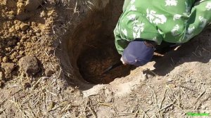 Коп с глубиником это вам не коп монет/коп по войне/Восточная Пруссия/metal detecting ww2.
