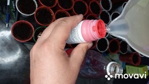 ОБРАБОТКА КАРТОФЕЛЯ ПЕРЕД ПОСАДКОЙ