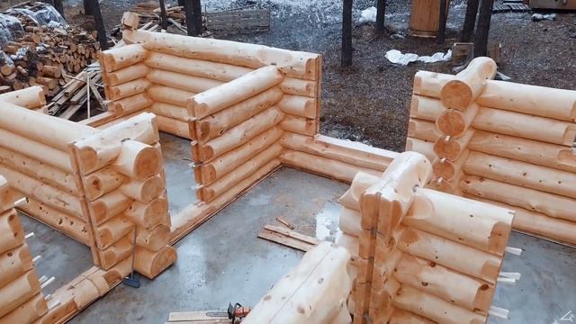 Баня из кедра Медведь и Щука