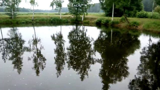 #11) Форель заманивает любителей рыбалки закинуть удочку в элитный пруд на "Щарке". смотреть онлайн