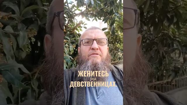 Женитесь на девственницах.16+