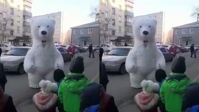 поздравление от белого медведя в Кургане
