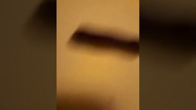 Как сделать динамик для Lps пэт-шоп смотреть онлайн