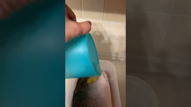 Как вкусно засолить семгу дома