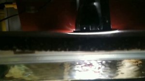 Альтум Ориноко . Альтумы в моём аквариуме.