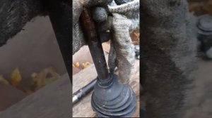 14 октября 2022 г.сильная вибрация автомобиля, ЗАЗ, шанс