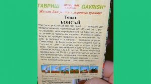 Помидоры и огурцы дома на подоконнике, на балконе, семена для выращивания, бзор