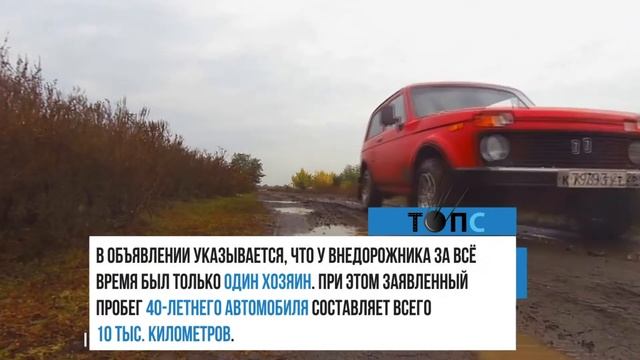 «Нива» 1981 года за 1 млн рублей | НОВОСТИ ТОПС смотреть онлайн