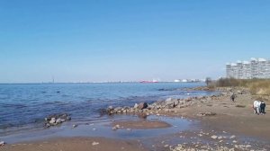 Красносельский район юго-западной части Санкт-Петербурга [2022]