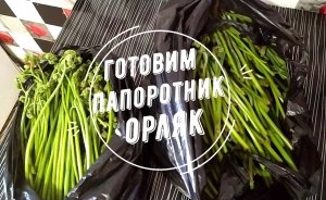 Готовим папоротник ОРЛЯК.mp4