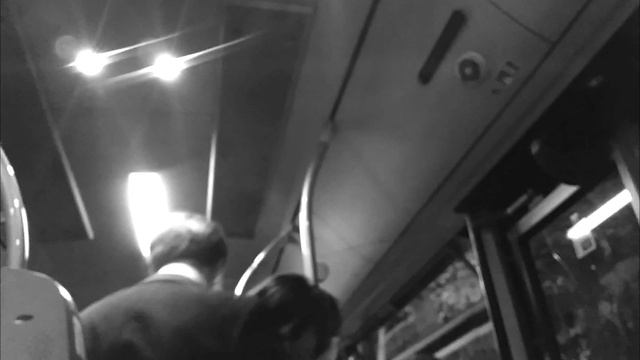 Давид Фиэрин - Ex persona rationali incomprehensibili