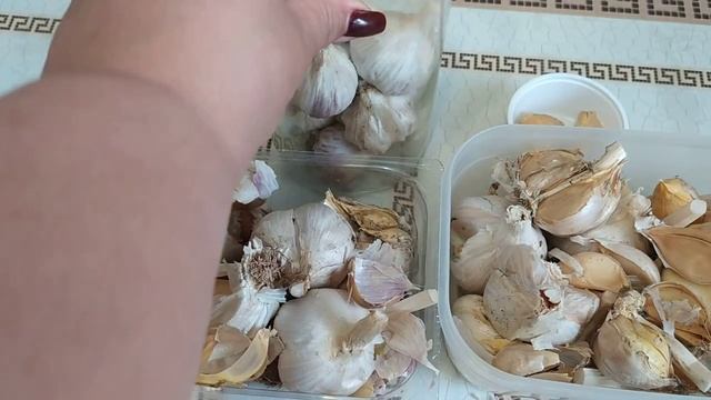 Самый лучший из трех проверенных способов хранения чеснока до весны ? смотреть онлайн
