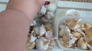 Самый лучший из трех проверенных способов хранения чеснока до весны ?