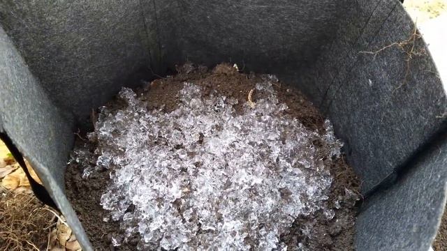 Посадка малины в контейнеры из геотекстиля с применением гидрогеля Влагосорб. смотреть онлайн