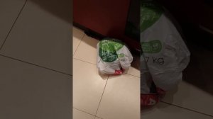 Новая переноска для кота Леопольда)), дёшево и сердито))