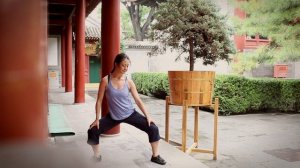 8 Brocades Qigong Practice