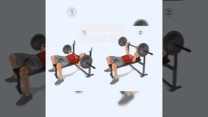 Тренировка в качалке для похудения. Новичкам и любителям