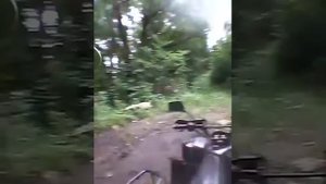 Поездка на квадроцикле за дровами #1