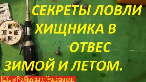 КАК ЛОВИТЬ ХИЩНИКА В ОТВЕС С ЛОДКИ И ЗИМОЙ,СЕКРЕТЫ РЫБОЛОВА,КАК ВЫБРАТЬ УДОЧКУ, МОНТАЖ,НАЖИВКУ.