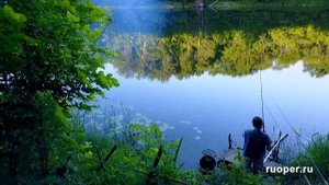 Рыбалка на реке Воронеж