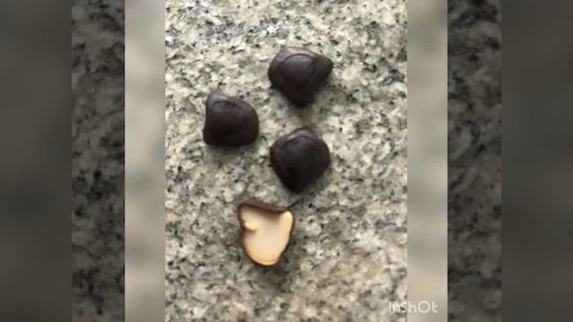 Kreeda tamarind Seeds смотреть онлайн